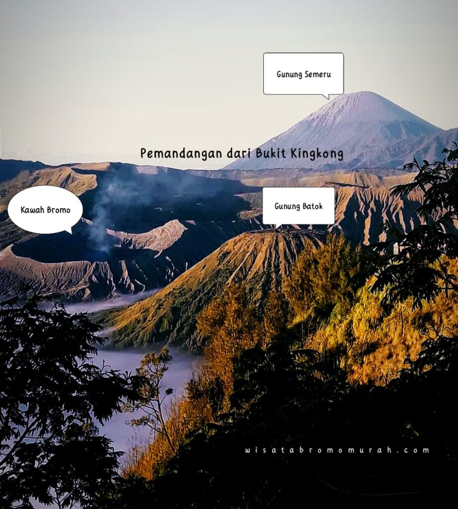 wisata bromo murah