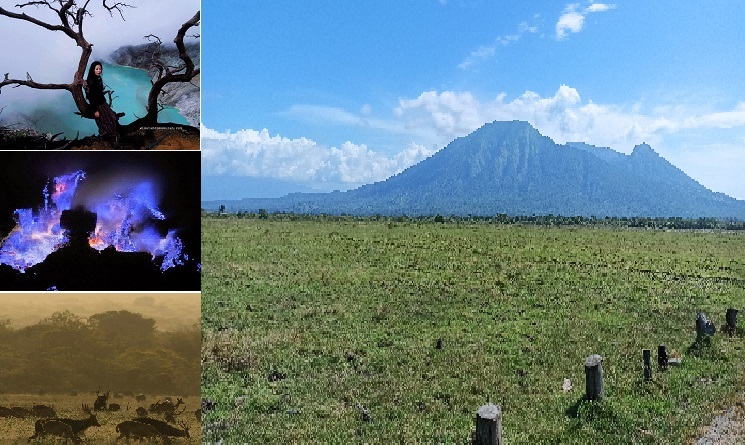 Paket Wisata Ijen Baluran 3 Hari 2 Malam Paket Wisata Ijen Baluran Murah