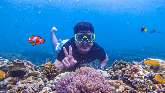Paket Snorkling Gili Ketapang Probolinggo Paket Snorkling Gili Ketapang Probolinggo