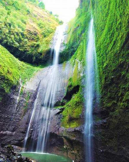 madakaripura waterfall Madakaripura Waterfall, Air Terjun Tertinggi Kedua Di Indonesia