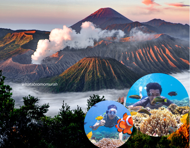 Paket Wisata Bromo Snorkeling Gili Probolinggo
