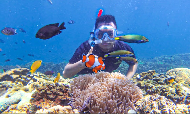 Destinasi Paket Wisata Bromo Rafting Snorkeling Gili Probolinggo
